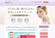 セオリークリニック