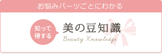 美の豆知識
